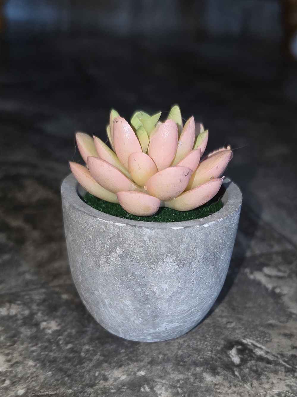 Artificial Pink & Yellow Succulent In Mini Gray Cement Planter BNIB